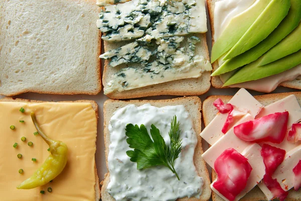 Conjunto de diferentes tipos de sanduíches — Fotografia de Stock
