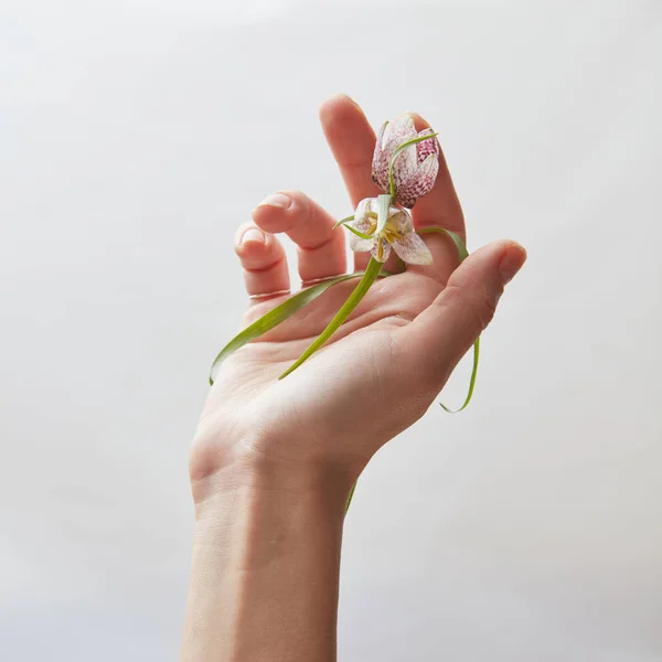 Рука з красивими квітами — стокове фото
