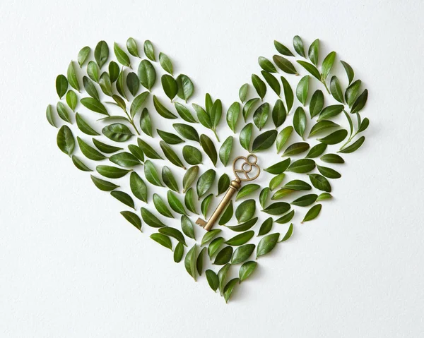 Green leaves in heart shape — Stock Photo, Image