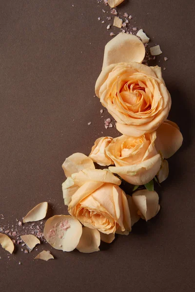 Composición de hermosas flores de rosas — Foto de Stock