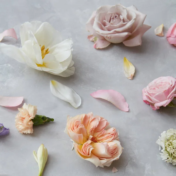 Sammansättningen av blommor och blad — Stockfoto