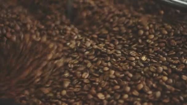 Koffiebonen in de machine mengen — Stockvideo