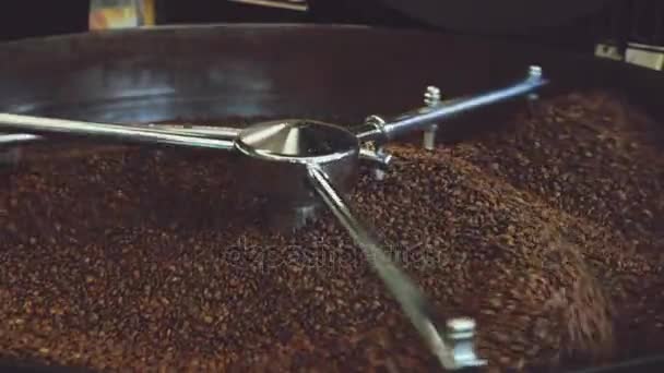Κόκκοι καφέ ανάμειξη στο μηχάνημα — Αρχείο Βίντεο