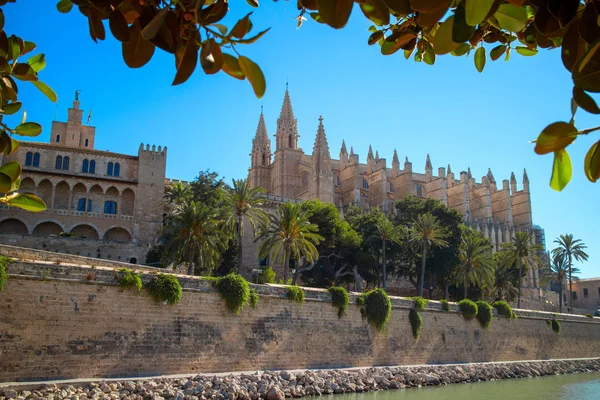 Palma de Mallorca主教座堂 — 图库照片