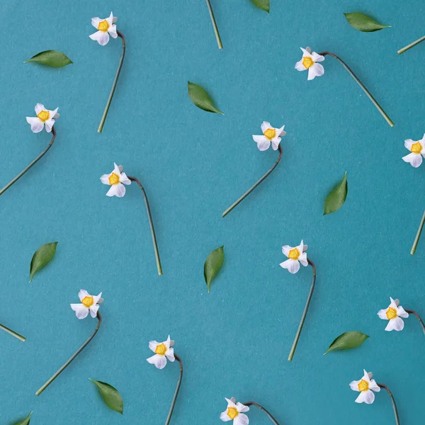 Weiße Blüten Komposition mit grünen Blättern — Stockfoto