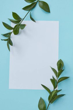 Yeşil yaprakları kopya alanı kapsayan