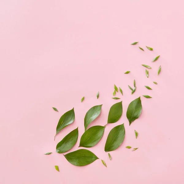Зелене листя склад — стокове фото