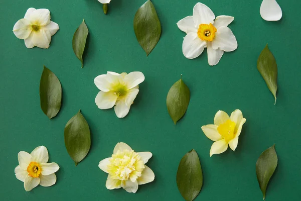 Grüne Blätter und weiße Blüten — Stockfoto