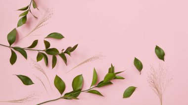 dallar yeşil yaprakları ile