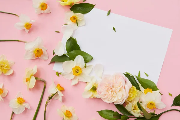 Papír, nárcisz virágok és levelek — Stock Fotó