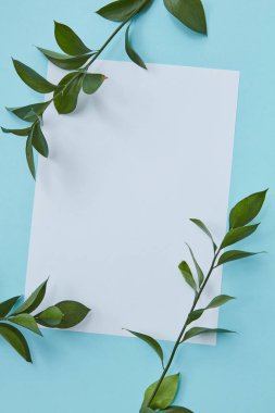Yeşil dalları ile dekore edilmiş çerçeve