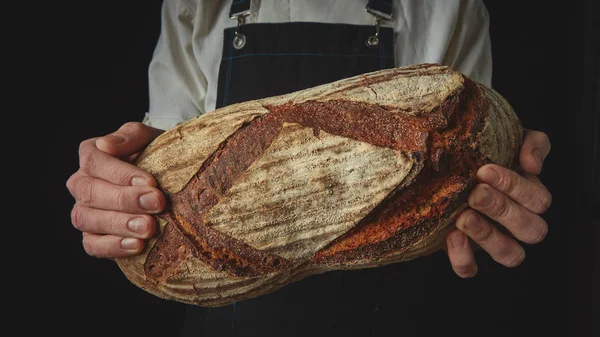 Baker tutarak taze rustik ekmek — Stok fotoğraf