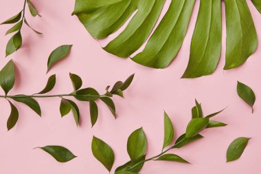 bileşimi yeşil dallar ve yapraklar