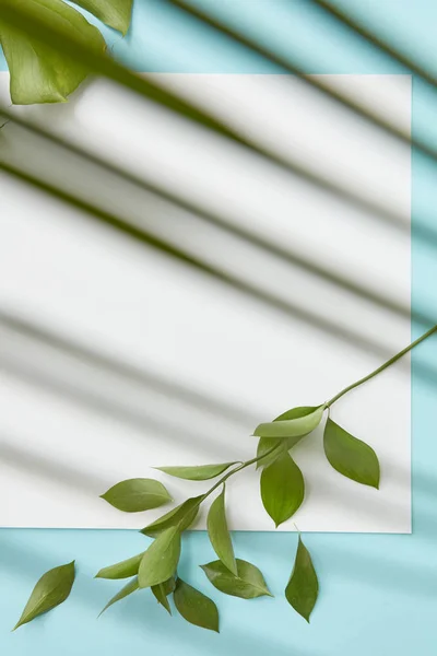 Marco decorado con hojas verdes —  Fotos de Stock