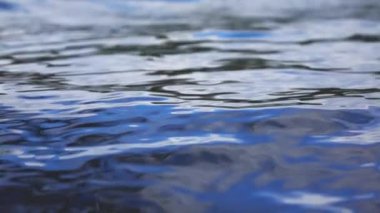 Deniz sallayarak doku