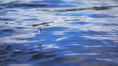 Deniz sallayarak doku