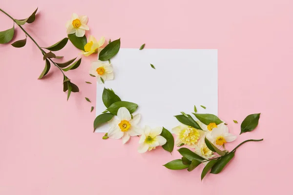 Cornice ad angolo con fiori di narciso — Foto Stock