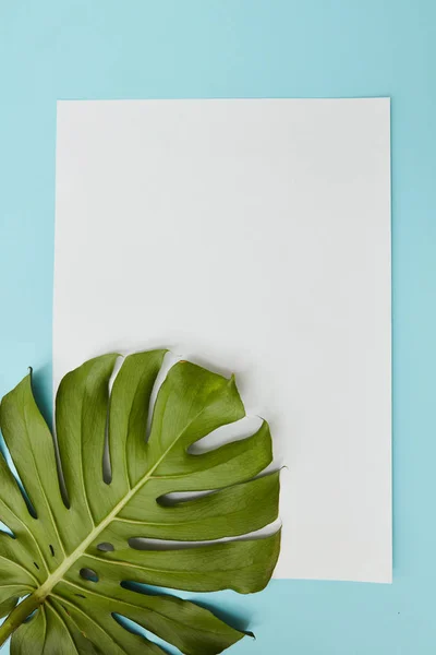 Pedazo de papel decorado con hoja —  Fotos de Stock