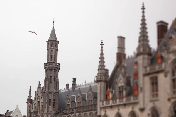 Town Hall in Bruges — Stock Photo, Image