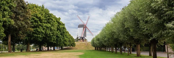 Windmill Sint Janshuismolen — Stock Fotó