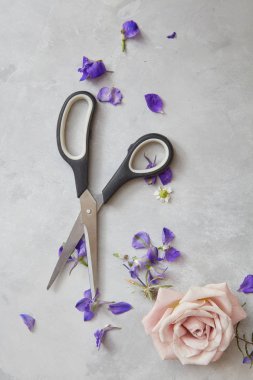 Gül desenli makas ve yaprakları