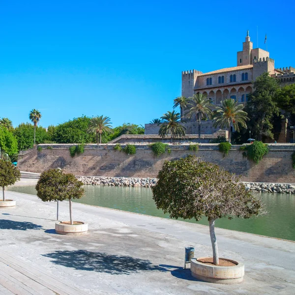 Mayorka La seu Katedrali