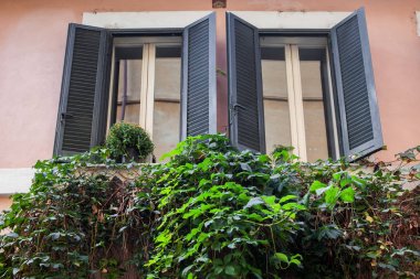 İki pencere yeşillik ile dekore edilmiş 