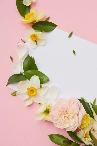 Hermosas flores narcisas y papel en blanco —  Fotos de Stock