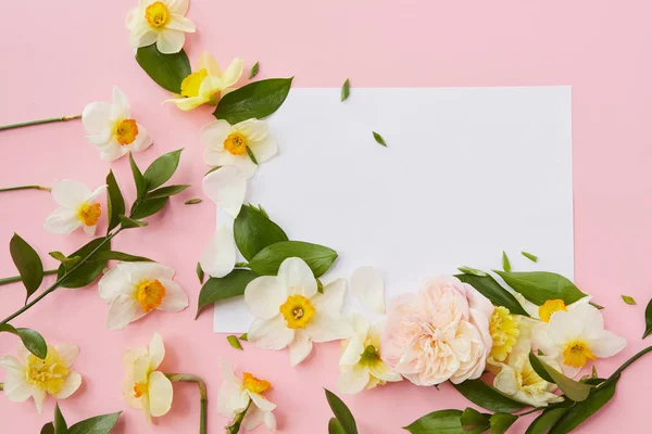 Krásný Narcis květiny a prázdný papír — Stock fotografie