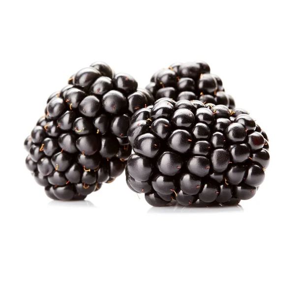 新鲜的成熟黑莓 — 图库照片