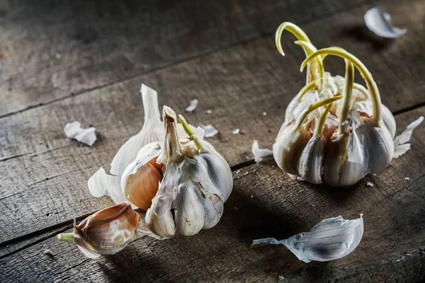 Two garlic bulbs — Stock Photo, Image