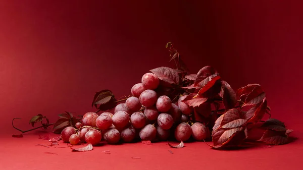 Uvas vermelhas com folhas — Fotografia de Stock