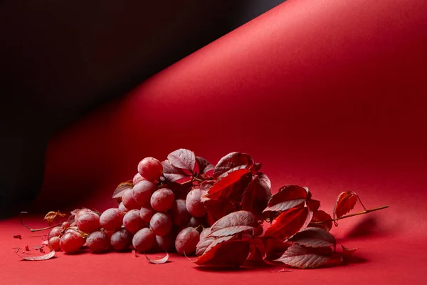 Rote Trauben mit Blättern — Stockfoto