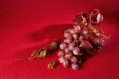 kırmızı üzüm yaprakları ile