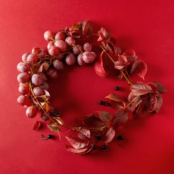 Red grapes with leaves — Stock Photo, Image