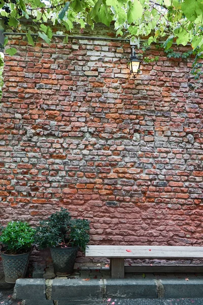 老砖墙 葡萄藤 长凳和绿色灌木反对墙壁背景 — 图库照片
