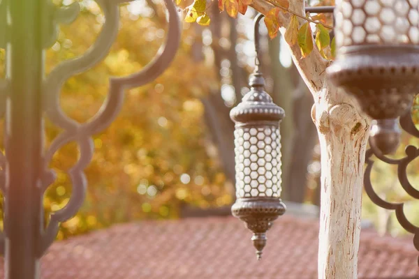 Traditional Islamic Ramadan Lantern Trees Park Sultan Ahmet Square Blue — Stock Photo, Image
