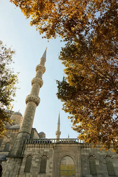 Sultanahmet Park Blue Mosque View Estambul Turquía — Foto de Stock