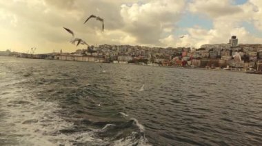 Boğaziçi, Istanbul, Türkiye, video, su yolu üzerinde yavaş uçan martılar 