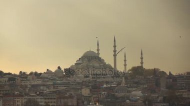 panoramik Istanbul güzel cityscape günbatımı gökyüzü, Türkiye'de uçan martılar ile. Video