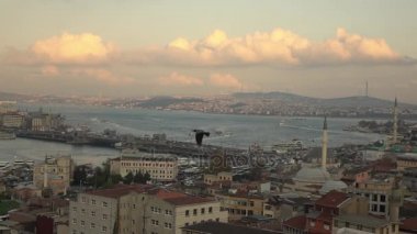 panoramik Istanbul güzel cityscape günbatımı gökyüzü, Türkiye'de uçan kuş ile. Video