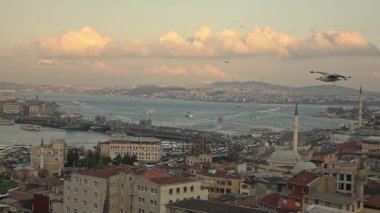 panoramik Istanbul güzel cityscape günbatımı gökyüzü, Türkiye'de uçan martı ile. Video