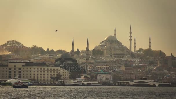 Panoramavy Över Vackra Stadsbilden Istanbul Solnedgången Turkiet Video — Stockvideo