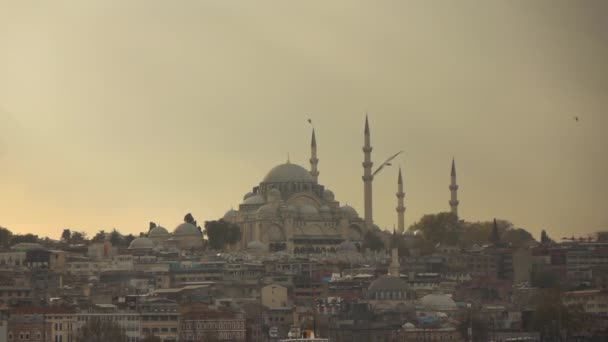 Panorámás Kilátás Gyönyörű Városkép Isztambul Sirályok Repülnek Napnyugtakor Törökország Videóinak — Stock videók