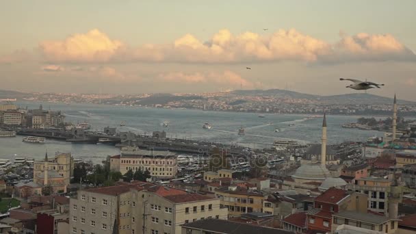 Panoramisch Zicht Prachtige Skyline Van Istanbul Met Zeemeeuw Vliegen Avondrood — Stockvideo