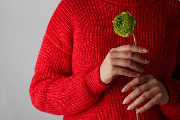 Zugeschnittenes Foto Einer Frau Rotem Pullover Mit Grüner Wunderschöner Nelkenblüte — Stockfoto
