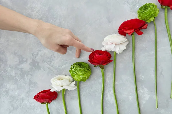 Composizione Fiori Colorati Ranuncoli Crisantemi Sfondo Grigio Cemento San Valentino — Foto Stock