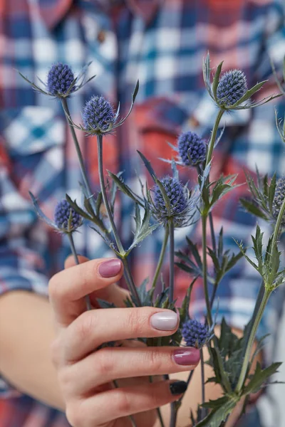 Photo Recadrée Jeune Femme Tenant Bouquet Fleurs Eringium Fraîches Fête — Photo