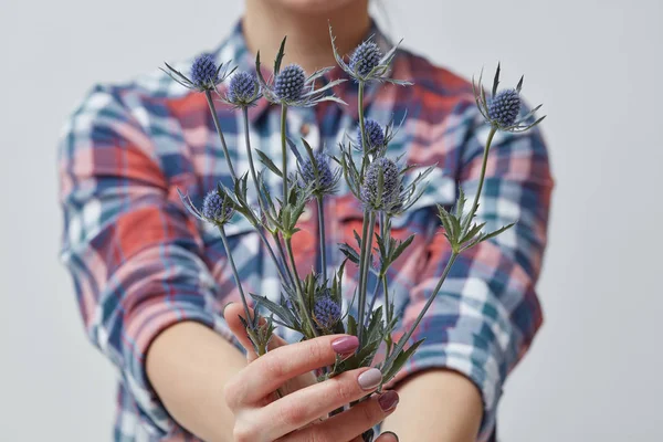 Photo Recadrée Une Jeune Femme Tenant Bouquet Fleurs Eringium Fraîches — Photo