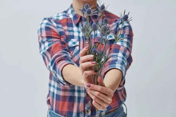 Куповані Фото Молода Жінка Тримає Букет Квітів Свіжі Eringium Сірий — стокове фото